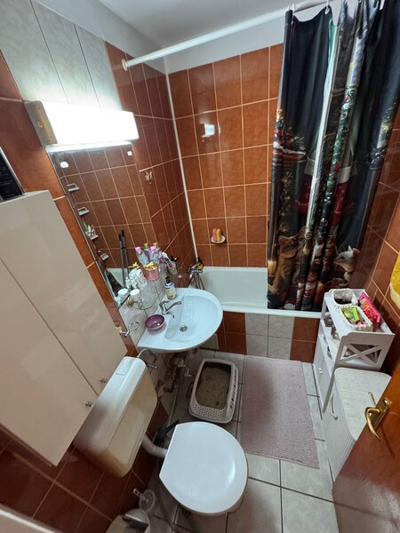 Drumul Taberei Bucla